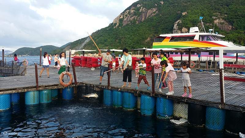 Pengenalan kepada Warisan Budaya Tidak Ketara Hong Kong: [Teknik Pembiakan Ikan Laut]